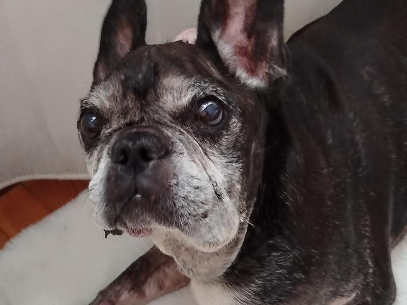 ÓSCAR