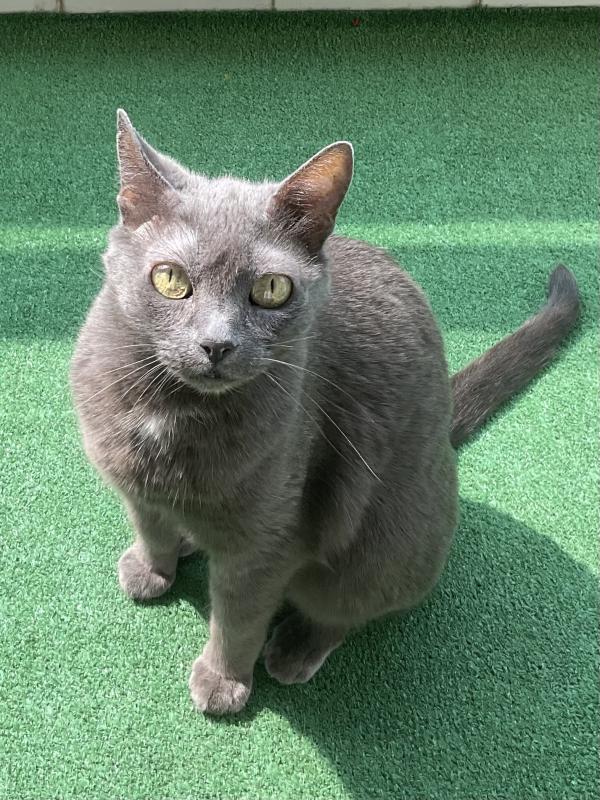 PUKI