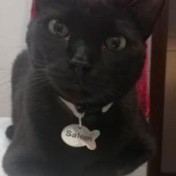 Salem
